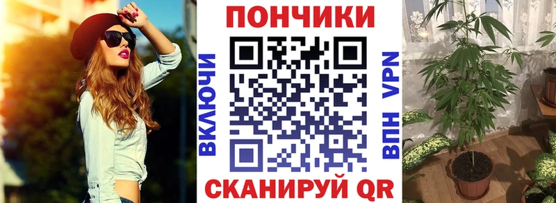 Шишки марихуана семена Новосиль